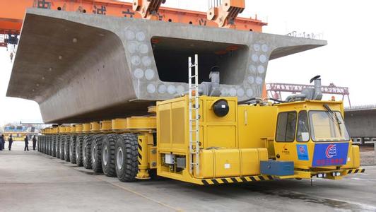 龍派機(jī)械運梁車